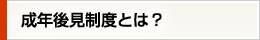 成年後見制度とは？